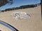 2027 RAM 1500 RAM 1500 LONE STAR CREW CAB 4X4 5'7' BOX